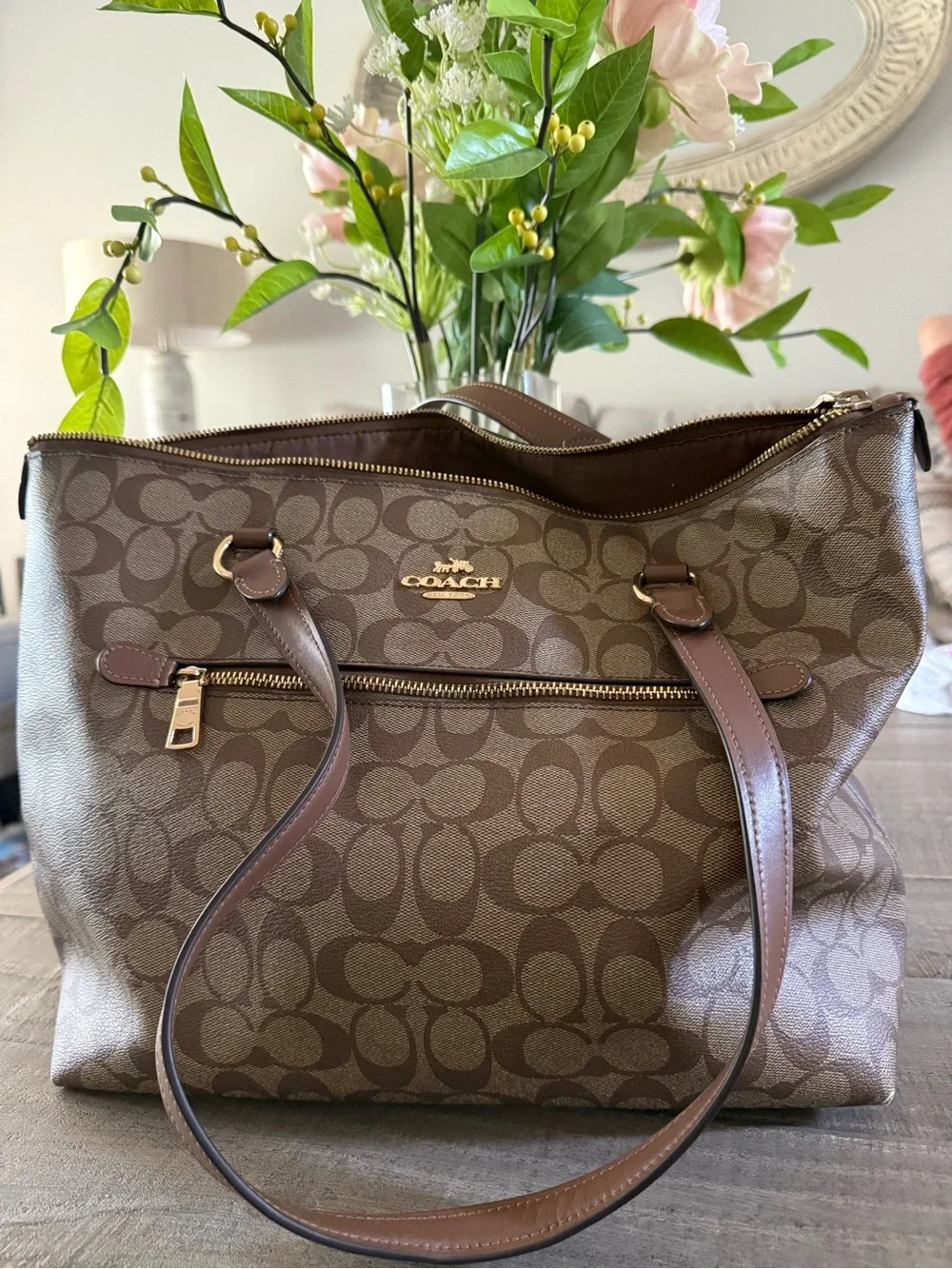 Coach Brown Signature Canvas Logo Tote with Gold Hardware